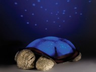 Noční svítící želvička - Hnědá