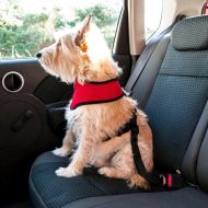 Bezpečnostní pás pro psa